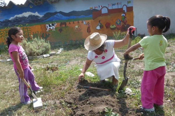 A Child's Garden of Peace - Casa Cuna - Puebla, Mexico - 2016 Josefina shows the girls how to clean up a strawberry bed! Photo by Illène Pevec A Child's Garden of Peace - Casa Cuna - Puebla, Mexico - 2016 Josefina shows the girls how to clean up a strawberry bed! Photo by Illène Pevec