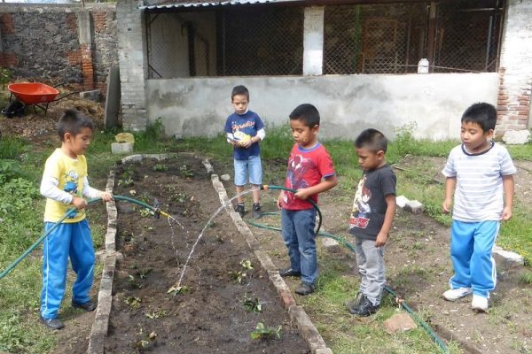 A Child's Garden of Peace - Casa Cuna - Puebla, Mexico - 2016 The children start by replanting the strawberries! Photo by Illène Pevec A Child's Garden of Peace - Casa Cuna - Puebla, Mexico - 2016 The children start by replanting the strawberries! Photo by Illène Pevec