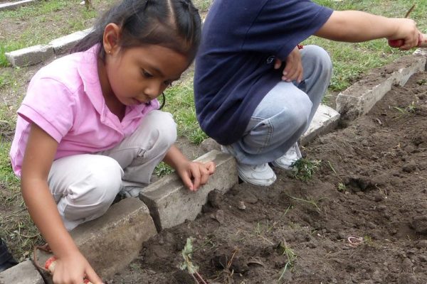 A Child's Garden of Peace - Casa Cuna - Puebla, Mexico - 2016 The kids had so much fun getting the stones out of this area and digging A Child's Garden of Peace - Casa Cuna - Puebla, Mexico - 2016 The kids had so much fun getting the stones out of this area and digging