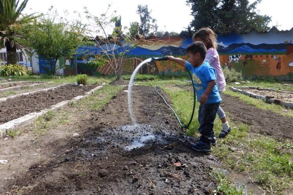 A Child's Garden of Peace - Casa Cuna - Puebla, Mexico - 2016 What all the kids like best is watering! Photo by Illène Pevec A Child's Garden of Peace - Casa Cuna - Puebla, Mexico - 2016 What all the kids like best is watering! Photo by Illène Pevec