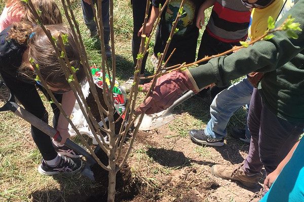 A Child's Garden of Peace - USA - 2021_Colorado2 A Child's Garden of Peace - USA - 2021_Colorado2