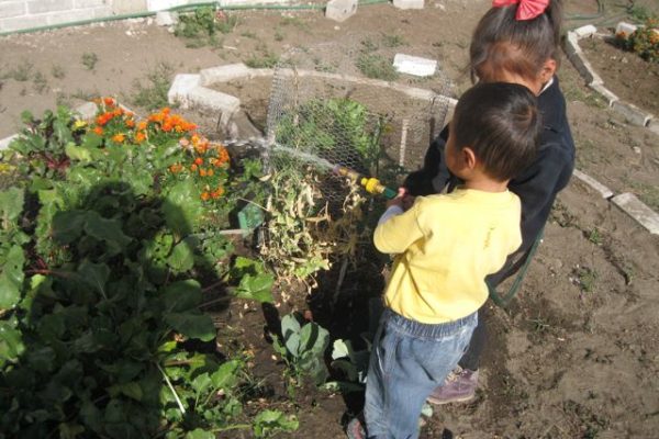Ale waters marigolds with Haiti_Puebla 2014 Ale waters marigolds with Haiti_Puebla 2014
