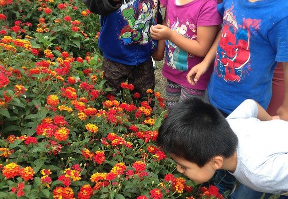 Casa Cuna - Puebla, Mexico - 2017_2 Casa Cuna - Puebla, Mexico - 2017_2