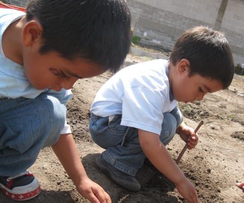 IMG_7005 planting corn and beans4_16 IMG_7005 planting corn and beans4_16