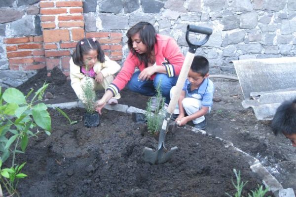 Planting rosemary_Puebla 2014 Planting rosemary_Puebla 2014