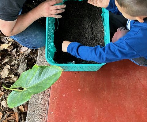 Semillas por la Vida A Child’s Garden of Peace_2023 Semillas por la Vida A Child’s Garden of Peace_2023