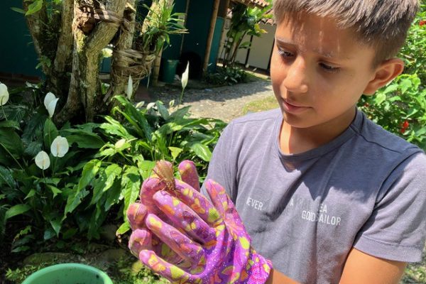 Semillas por la Vida A Child’s Garden of Peace_4 Semillas por la Vida A Child’s Garden of Peace_4